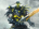 remi_heredero's Avatar